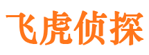 乐至寻人公司